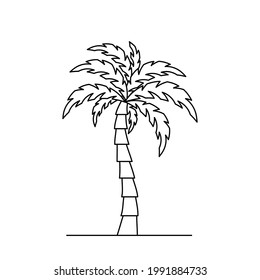 Palm tree icon. Linear coconut tree icon. Vector illustration. Palm vector icon. Black linear palm icon