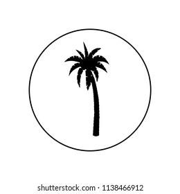 Palm tree icon, logo