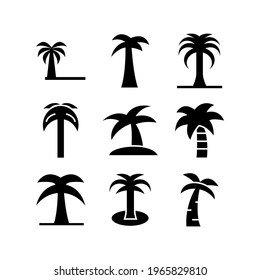 icono de la palmera o logotipo símbolo de signo aislado ilustración vectorial - Colección de iconos vectoriales de estilo negro de alta calidad
