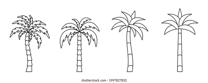 Palm tree icon. Set of linear coconut tree icons. Vector illustration. Palm vector icons. Black linear palm icons