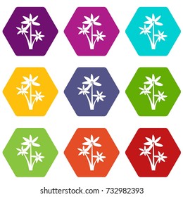Palm tree icon set many color hexahedron isolated on white vector illustration