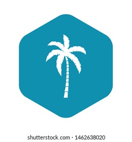 Palm tree icon. Simple illustration of palm tree vector icon for web