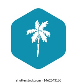 Palm tree icon. Simple illustration of palm tree vector icon for web