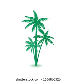 Palm tree icon. Simple illustration of palm tree vector icon.