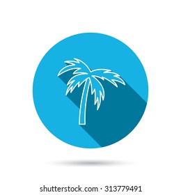 Palm tree icon. Travel or vacation symbol. Nature environment sign. Blue flat circle button with shadow. Vector