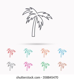Palm tree icon. Travel or vacation symbol. Nature environment sign. Linear icons on white background.