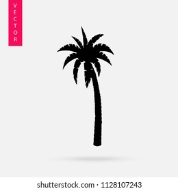 Palm tree icon, vector