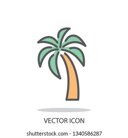 palm tree icon vector