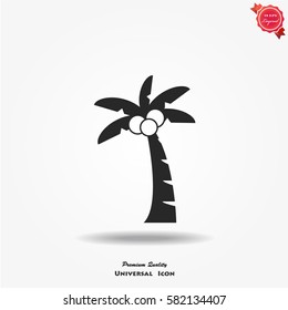 Palm tree icon, palm tree vector icon.