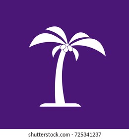 palm tree icon vector