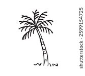 Palm tree icon, vector hand drawn sketched design element