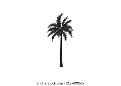 Palm, tree icon. Vector illustration.