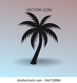 ilustração de vetor de ícone de palma de árvore