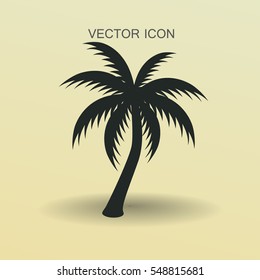 palm tree icon vector illustration