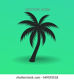 palm tree icon vector illustration
