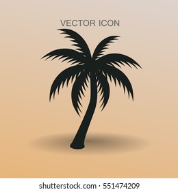 palm tree icon vector illustration