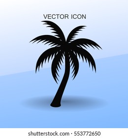 palm tree icon vector illustration