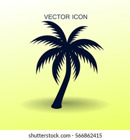 palm tree icon vector illustration