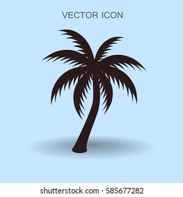 palm tree icon vector illustration