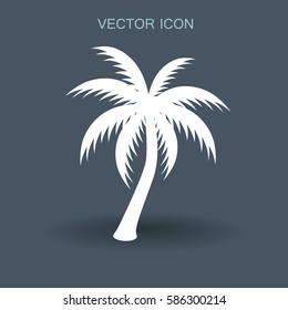 palm tree icon vector illustration