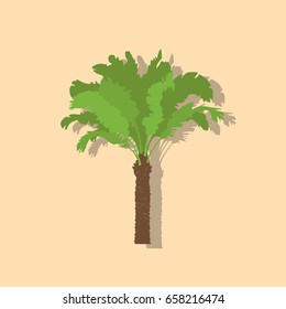 Palm tree icon, vector illustration design. Summer objects collection.