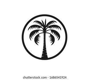 Palm tree icon vector isolated on white. 