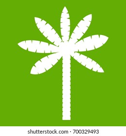 Palm tree icon white isolated on green background. Vector illustration