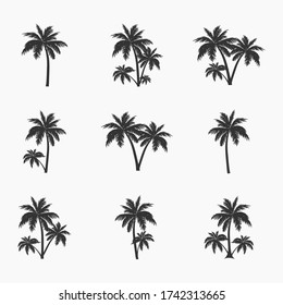 Palm tree icons set. Design elements for logo, emblem or stickers.