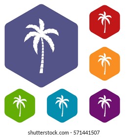 Palm tree icons set rhombus in different colors isolated on white background
