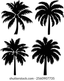 Palm tree icons set. Silhouette of palm tree vector icons
