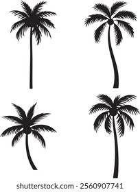 Palm tree icons set. Silhouette of palm tree vector icons