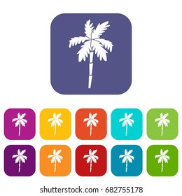 Palm tree icons set vector illustration in flat style in colors red, blue, green, and other
