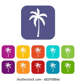 Palm tree icons set vector illustration in flat style in colors red, blue, green, and other