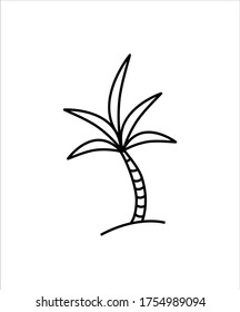 palm tree icon,vector best line icon.