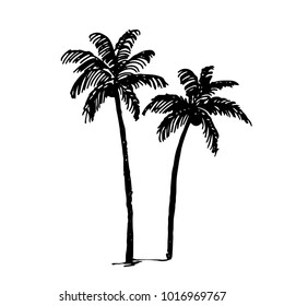 Palm tree illustration