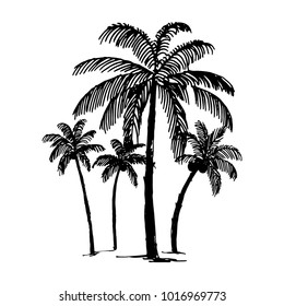 Palm tree illustration