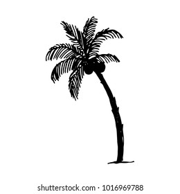 Palm tree illustration