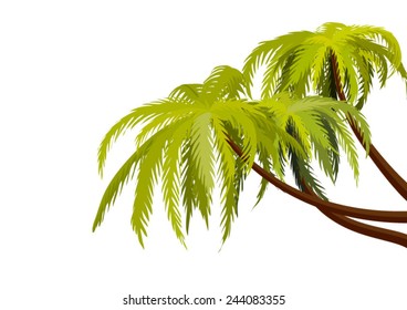 palm tree illustration