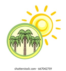 palm tree illustration