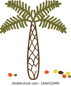 Palm tree illustration on white background