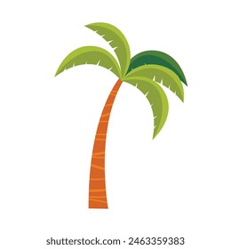 palm tree illustration on white background.