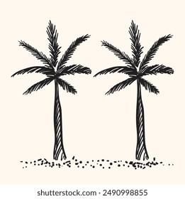 Palm tree With illustration style doodle and line art