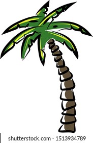 Palm tree, illustration, vector on white background.