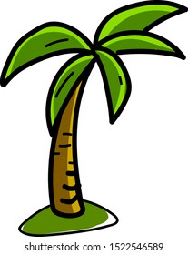 Palm tree, ilustración, vector sobre fondo blanco.