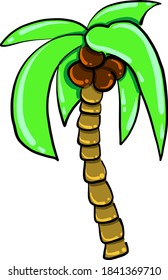 Palm tree, illustration, vector on white background