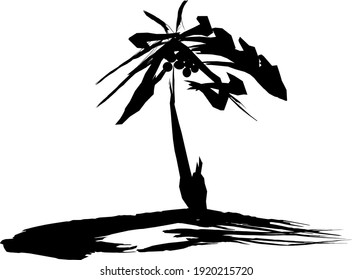 Palm tree ilustration vektor for background or logos