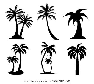 palm tree image vector design