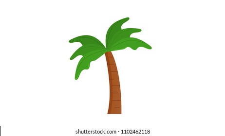 Palm tree insolated vector illustration