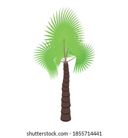 Palm tree island icon. Isometric of palm tree island vector icon for web design isolated on white background