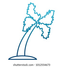 Palm tree isolated